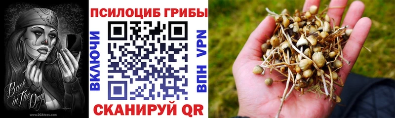 Псилоцибиновые грибы прущие грибы  Купить где  Судак 